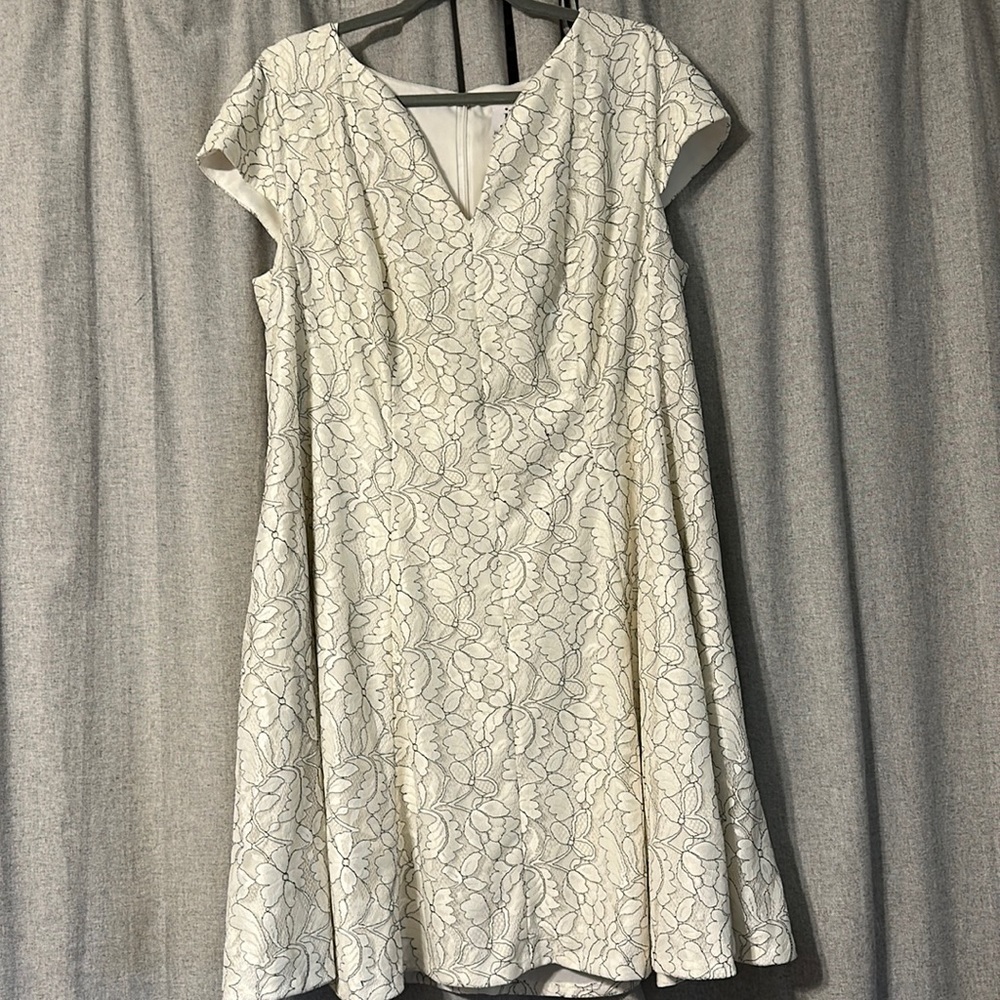 NWT Julia Jordan Lace Dress